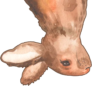 Coelho em aquarela espiando de ponta-cabeça